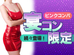 宴会コンパニオン旅行限定プラン
