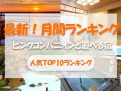 最新版【2023年11月】ピンクコンパニオンと遊べる宿ランキングTOP10