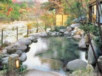 鬼怒川温泉　花の宿　松や