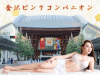 金沢駅周辺 ピンクコンパニオンプラン（宴会＋ビジネス宿泊付）