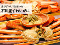 【期間限定11～3月】加賀温泉で味わう♪　ズワイガニ特別会席ピンクコンパニオンプラン