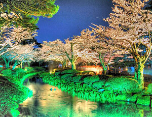 兼六園の夜景