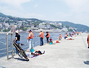 熱海港海釣り