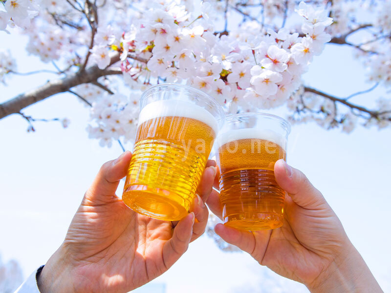 桜とビール