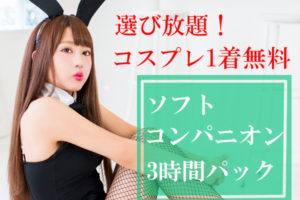 ソフトコンパニオン