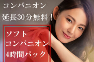 ソフトコンパニオン4時間プラン