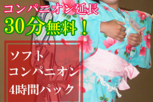 【ロング・特典付】ソフトコンパ4時間プラン