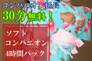 ソフトコンパニオン