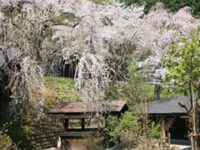 多郎兵衛旅館