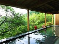 熱海 森の温泉ホテル