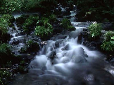 風景