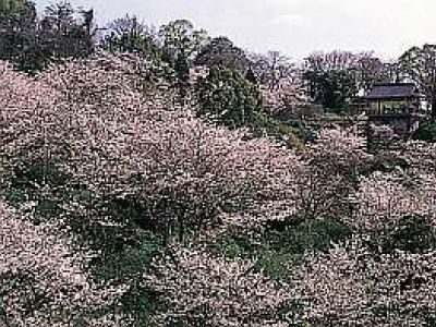 風景