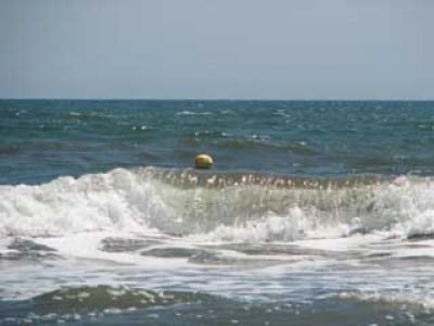 海辺の波