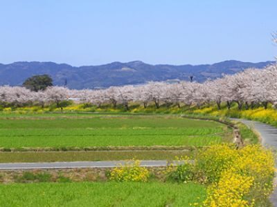 筑後川温泉