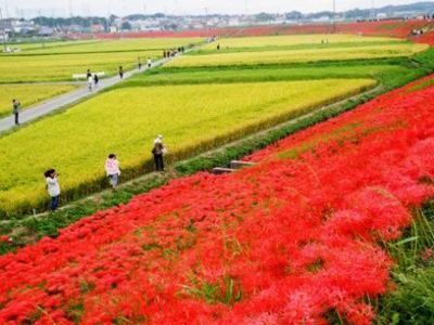 愛知県半田市