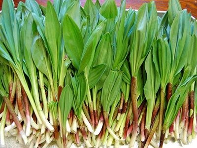 野菜