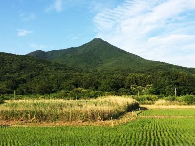 つくば山温泉でのピンクコンパニオン