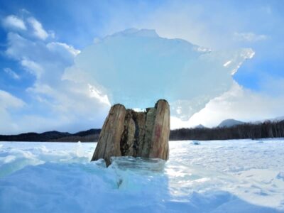 きのこ氷