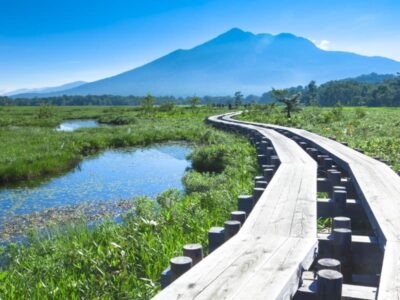 尾瀬国立公園