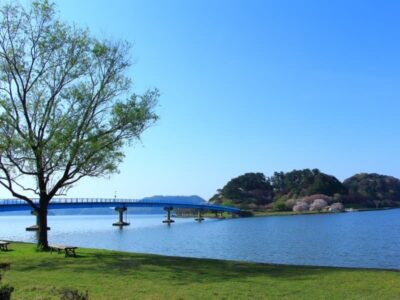 青島大橋