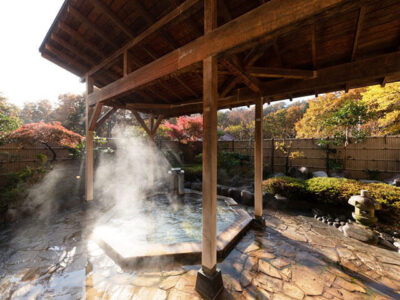 露天風呂「欣欣（きんきん）の湯」_バーデン家　壮鳳