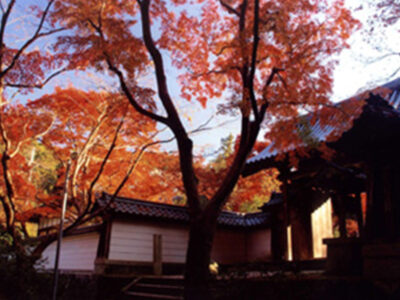 紅葉