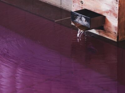 ワイン風呂_ホテル八田