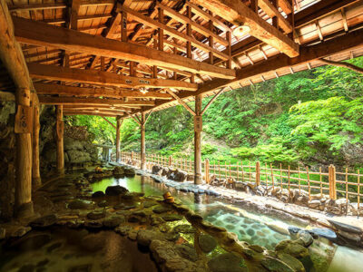 源泉かけ流し天然温泉_鷹泉閣岩松旅館