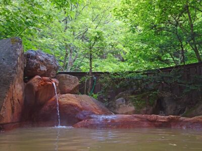 緑豊かな自然の中にある露天風呂