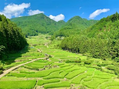 新城市の風景