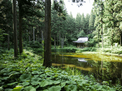 小沼神社_協和温泉四季の湯