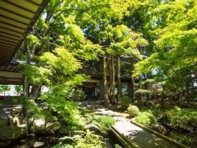 湯元啄木亭　庭園