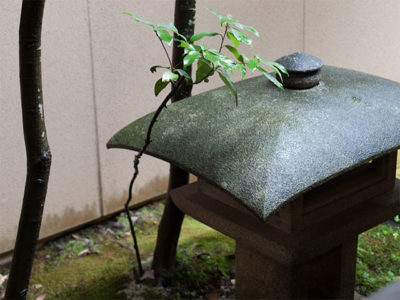 庭園