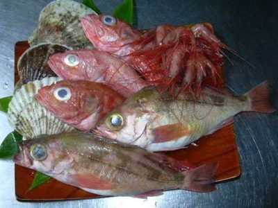 新鮮な魚介類