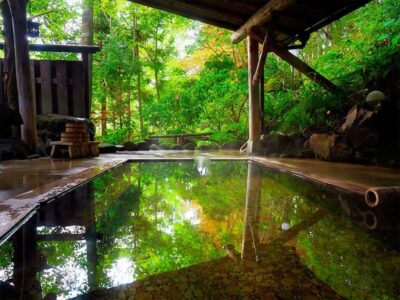 緑豊かで景色の良い露天風呂