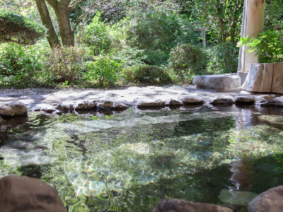 緑の見える美しい露天風呂