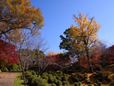 菊池の紅葉