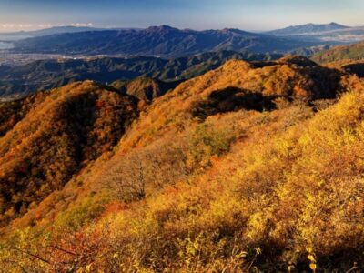 丹沢・塔ノ岳から見る紅葉